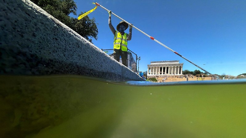Everyone Wants to Touch the Blue Coating in the Reflecting Pool