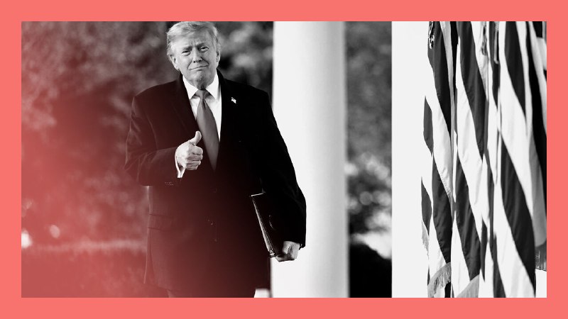 How Donald Trump makes money