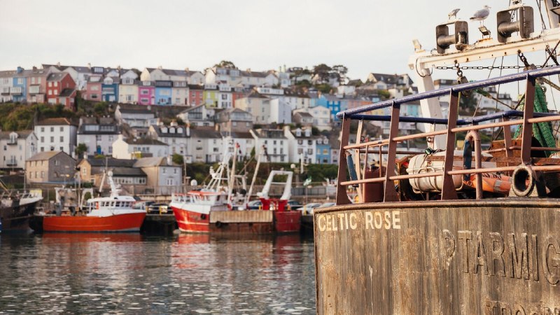 Brexit has disappointed British fishermen