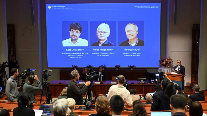 The Nobel for medicine goes to lighting up the brain