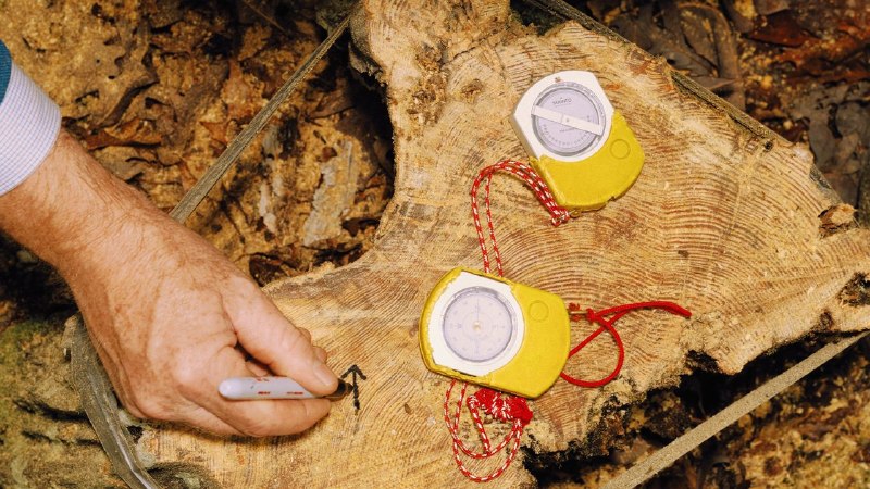 How Tree Rings Challenged the Myth of American Wilderness