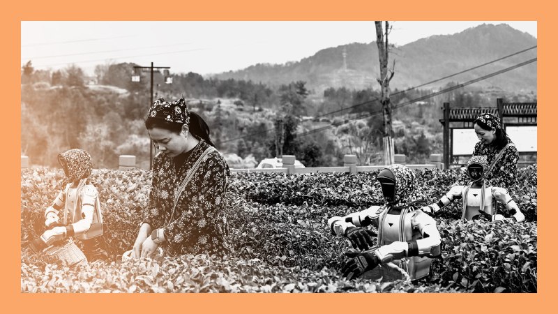 China’s AI jobs threat