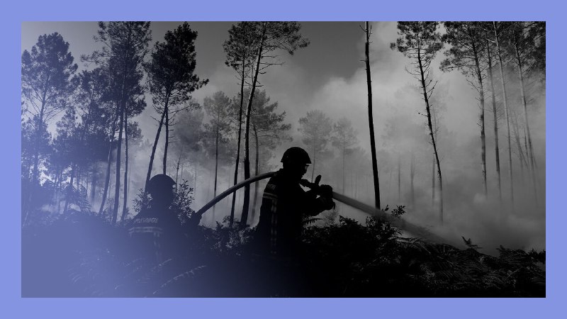Burning questions: a more fire-prone world