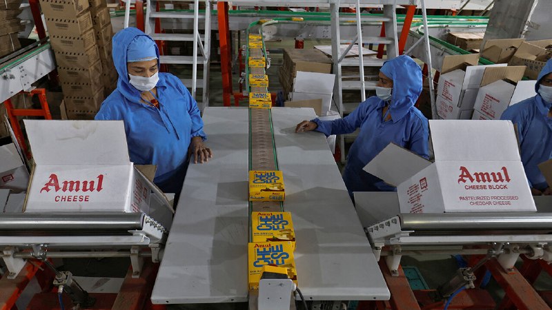 India at last acquires a taste for cheese&nbsp;