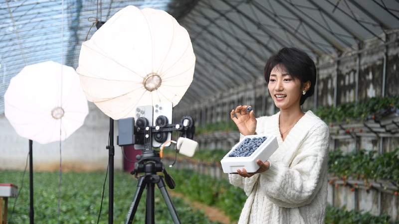 The Californication of middle-class Chinese diets