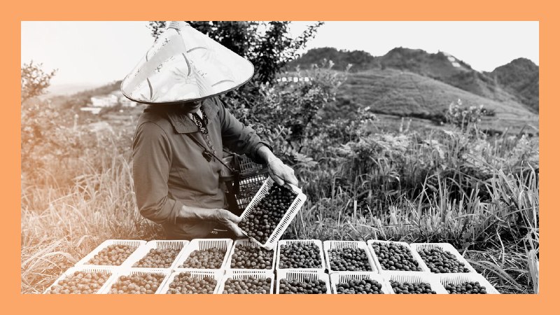 The Californication of Chinese diets