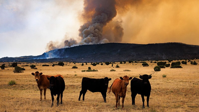 The World Bank has ditched its climate targets