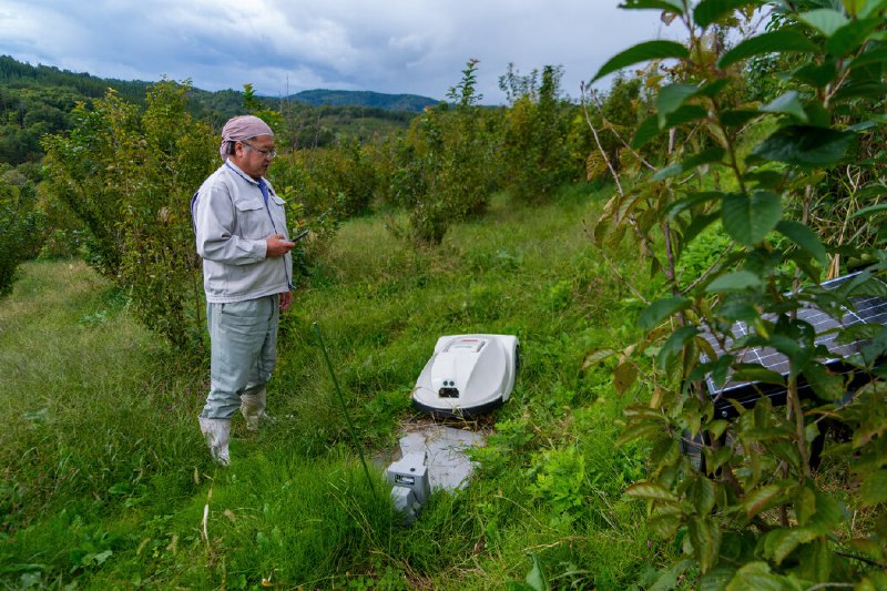 机器人能拯救老龄化的日本吗？