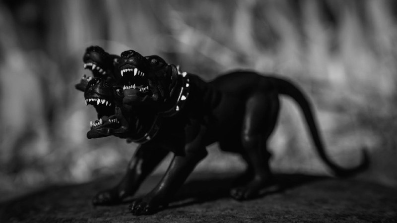 Instructions for Pet-Sitting My Dog, Cerberus