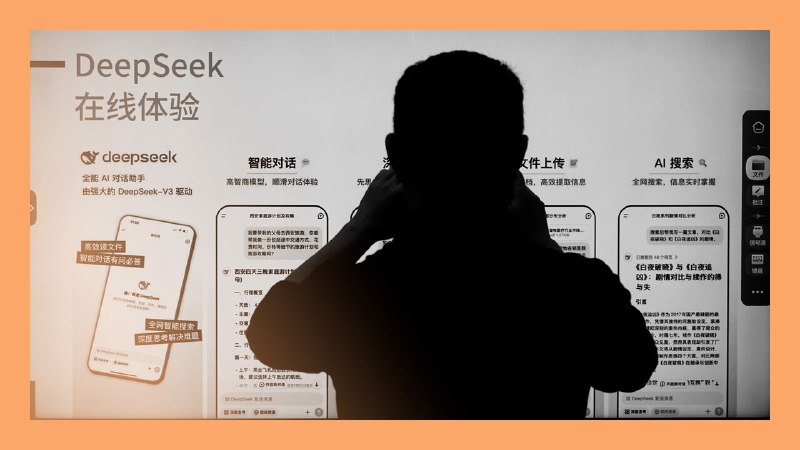 China’s DeepSeek year