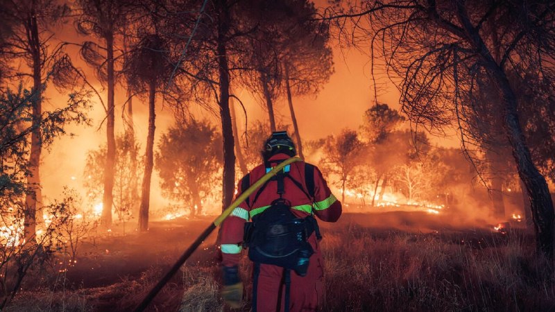 France and Spain are suffering their biggest wildfires on record