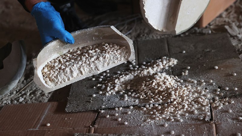 Ahmed al-Sharaa is quashing Syria’s vast captagon trade