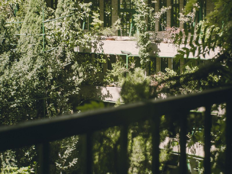 住久了没意思（二）：从有光的地方开始动手 ｜ 少数派会员  π+Prime