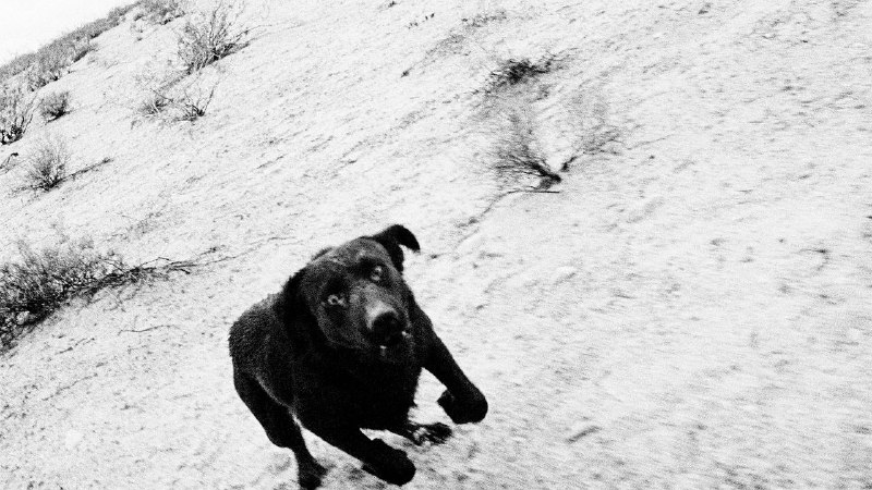 Stephen Shore, Ryan McGinley’s Xeroxes in “Hard Copy New York”