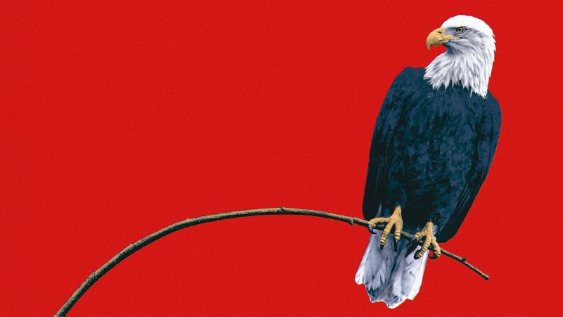 America is mighty—but it is becoming less dominant