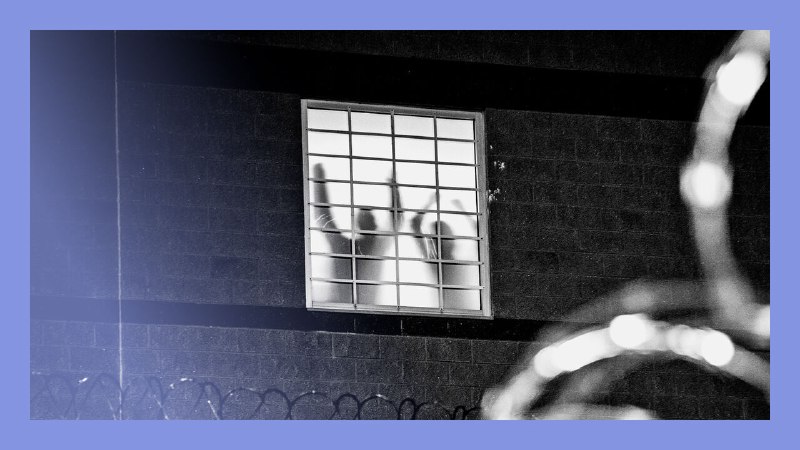 Ire and ICE: the toll of America’s deportations