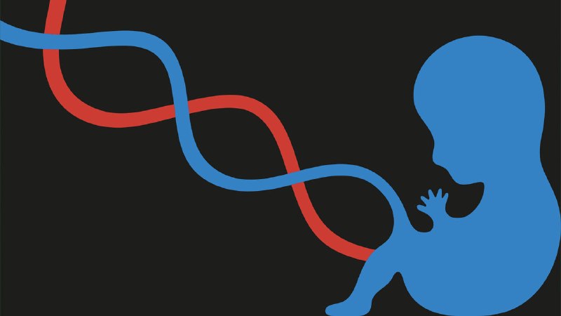 Should every baby’s DNA be sequenced?