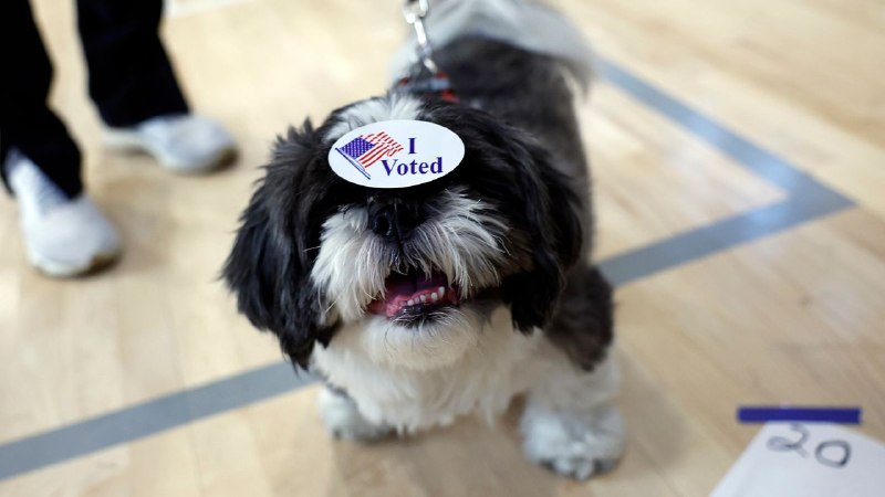 Voter Fraud We’ve Identified So Far