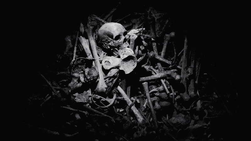 A prizewinning novel explores the legacy of the Rwandan genocide