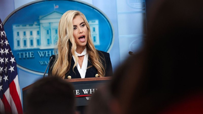 Anthony Scaramucci Says the Universe Did Katie Zacharia a Favor