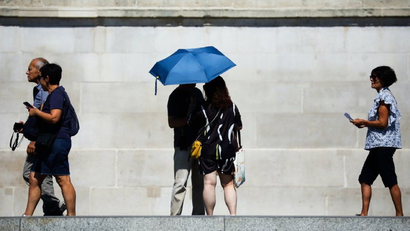 The Climate Issue newsletter: The surprising effects of Europe’s heatwaves