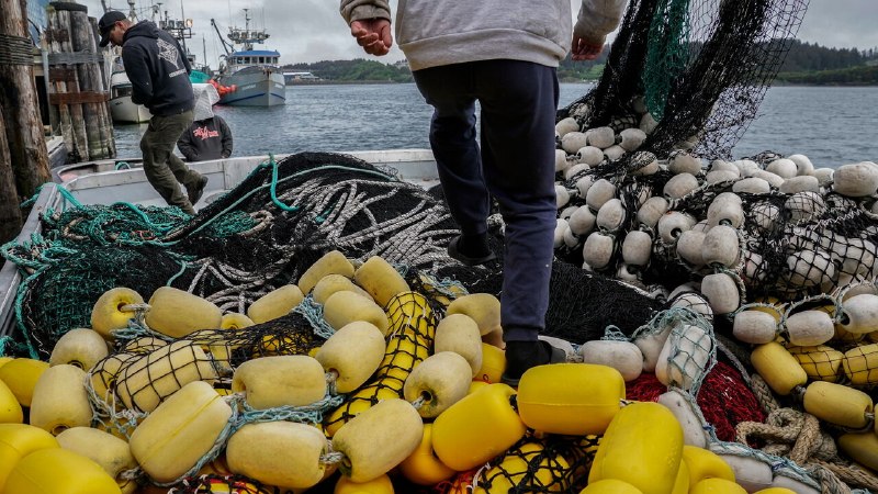 A contentious battle in Alaska may determine control of the Senate