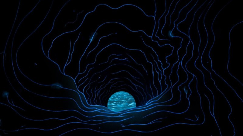 The Mystery of Dark Oxygen