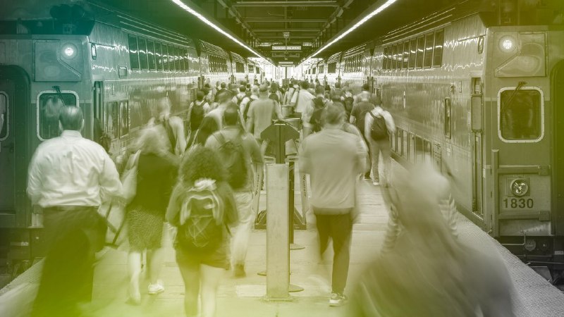 Has the A.I. Job Apocalypse Been Postponed?