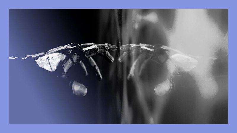 I, robot? AI and consciousness