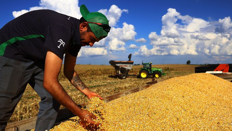 South America is eradicating hunger