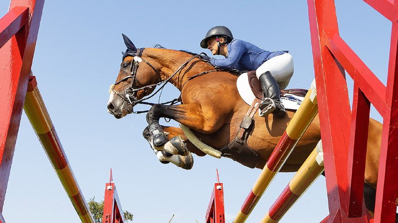 Health tech and AI come to equestrianism