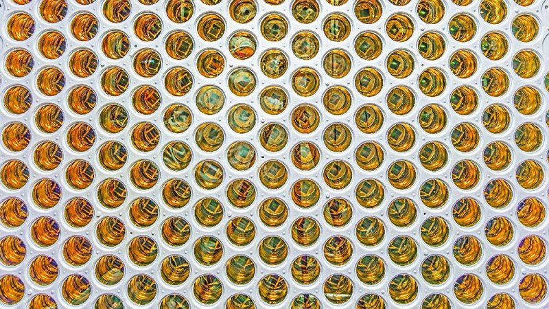 A suspicious signal in a dark-matter detector has physicists excited